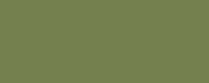 LifeColor UA531 Dark Green 28