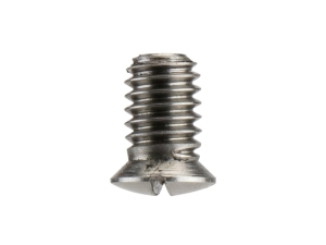 IWATA I 731 2 Main Body Ring Screw (Hi-Line HP-TH, Revolution HP-TR1, HP-TR2)