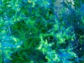 731062db3b25116126522e9b8dd3c963