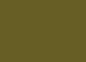 LifeColor UA903 IDF Green