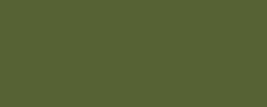 LifeColor UA511 Hellgrun