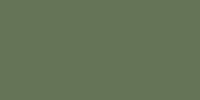 Colore LifeColor UA747 Dirty Green
