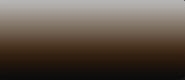 LifeColor Liquid Pigments LPW21 Smoke