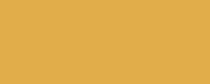 LifeColor UA528 Giallo Mimetico16