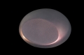 fa09a936672faf1f91f83bf79d8a86e2
