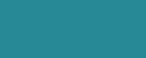 LifeColor UA629 Flight Deck Blue 21