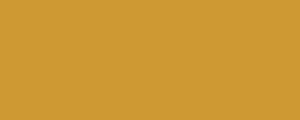 LifeColor UA505 Sandgelb II