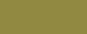 LifeColor UA523 US Olive Drab