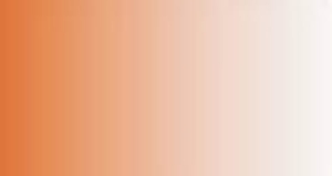 LifeColor TSC205 Rust 1