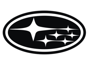 Airbrush tattoo LOGO stencil V129