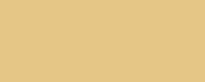 LifeColor UA529 Nocciola chiaro 4 VAR