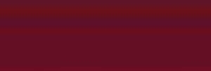 AmeriColor MAROON 133ml